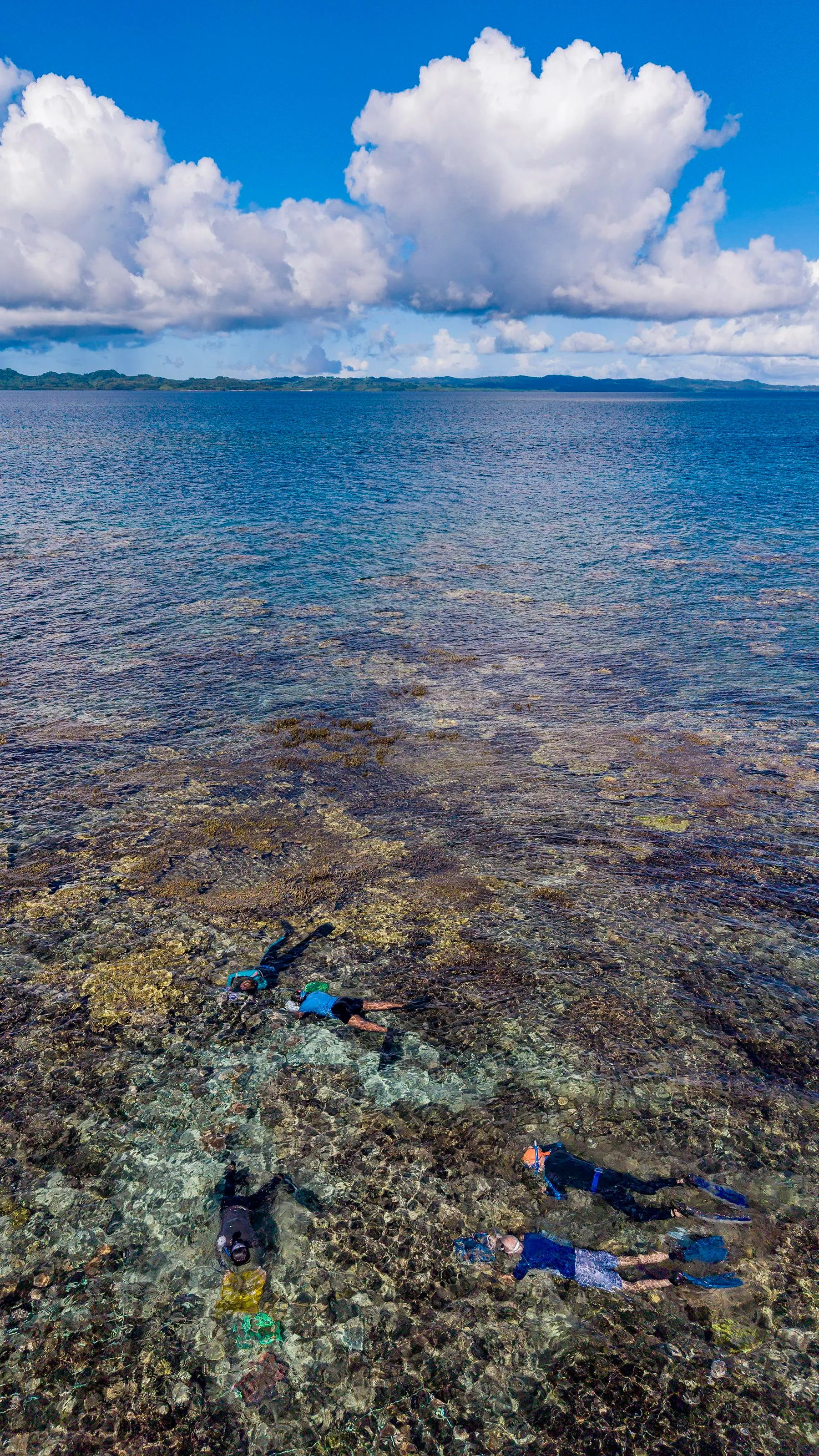 An aerial view of several researchers snorkeling in shallow water above a coral nursery