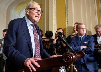 Democrats demand briefing on Trump’s secret flight from Turkey