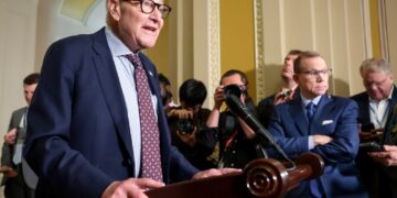 Democrats demand briefing on Trump’s secret flight from Turkey