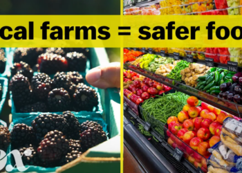 Is the food at the farmers market safer?
