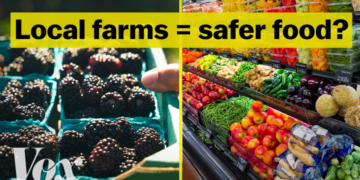 Is the food at the farmers market safer?