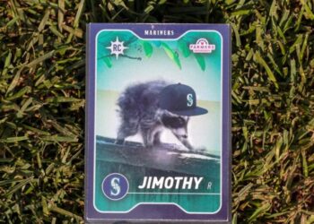 The inspiring survival of Jimothy, the hunchbacked raccoon who conquered Seattle