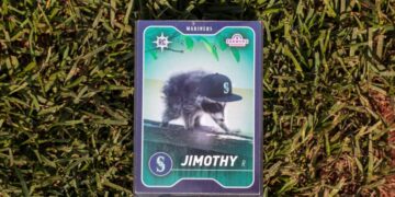 The inspiring survival of Jimothy, the hunchbacked raccoon who conquered Seattle