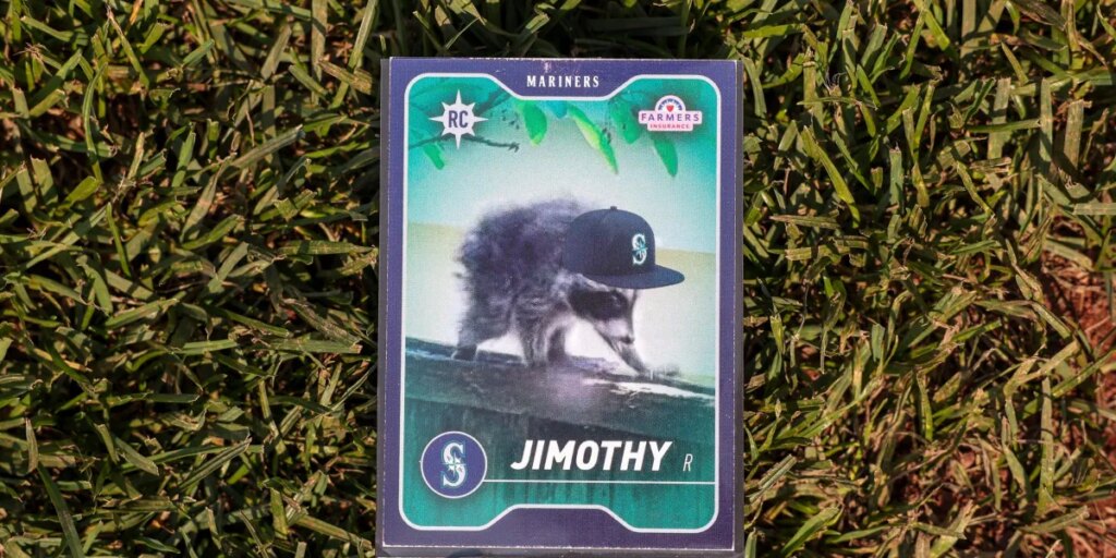The inspiring survival of Jimothy, the hunchbacked raccoon who conquered Seattle