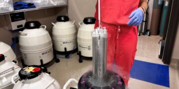 Department of Defense will offer reimbursements for egg and sperm freezing