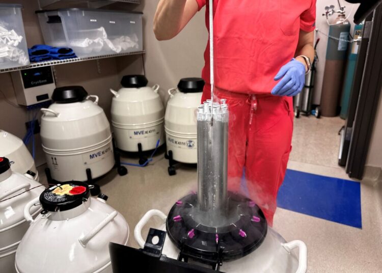 Department of Defense will offer reimbursements for egg and sperm freezing