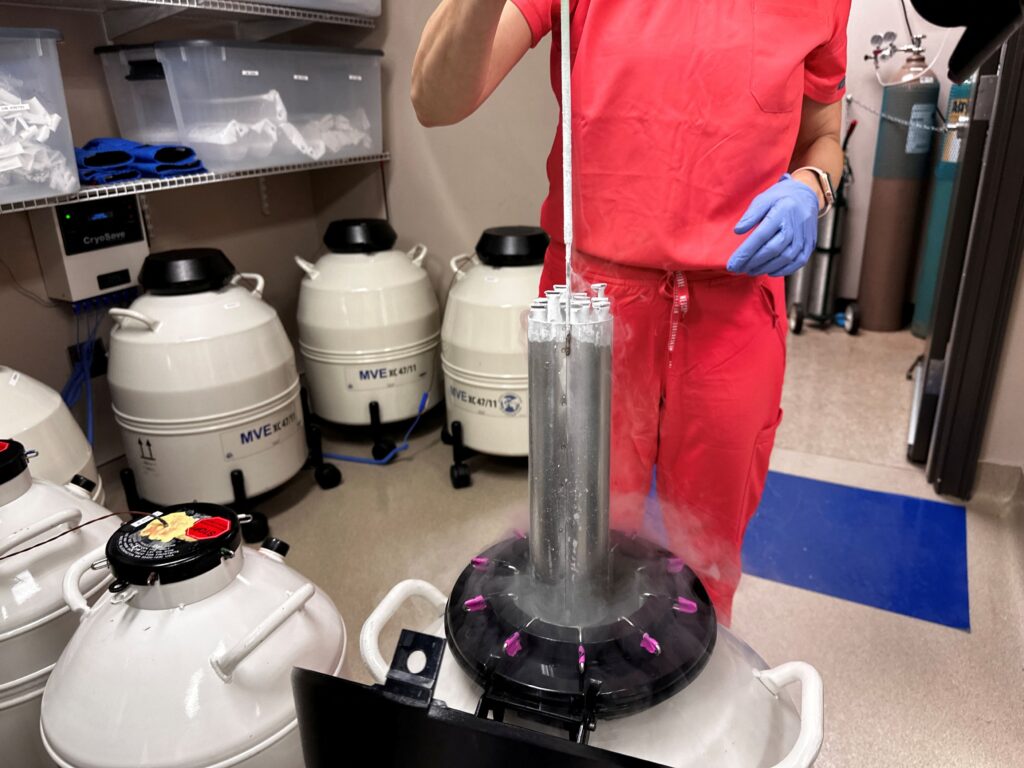 Department of Defense will offer reimbursements for egg and sperm freezing