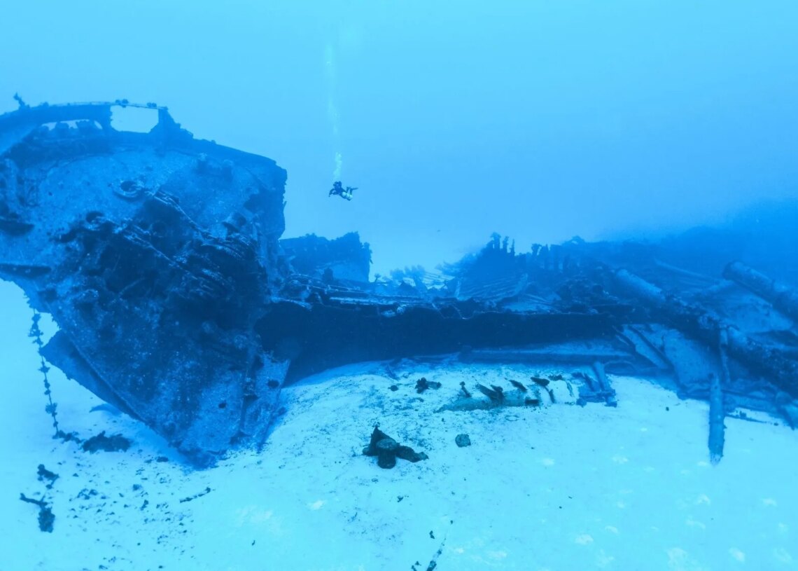 How a Spearfisher Accidentally Discovered a 2,000-Year-Old Roman Shipwreck