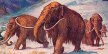 Humans May Have Hunted Female Mammoths More Than Males, Researchers Say