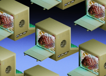 AI Is Dead. Organoids Are Alive
