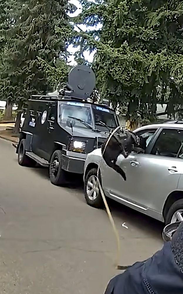 A black K9 dog leaping into the broken window of a silver SUV with a dark armored police vehicle behind it.