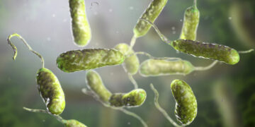 Louisiana warns of rise in flesh-eating bacteria infections