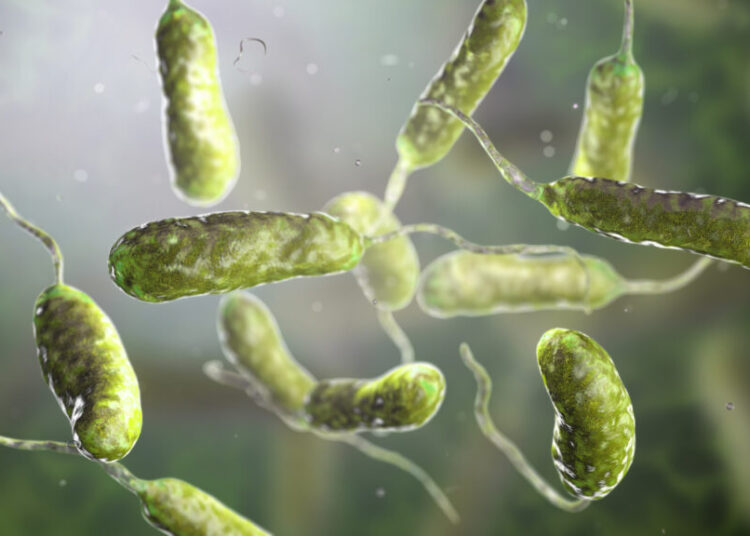 Louisiana warns of rise in flesh-eating bacteria infections