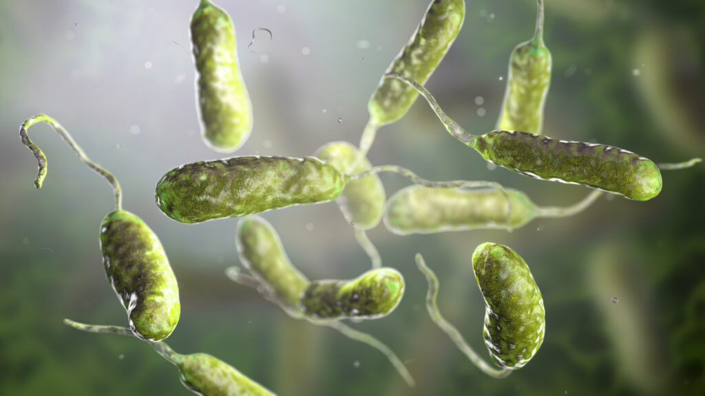 Louisiana warns of rise in flesh-eating bacteria infections