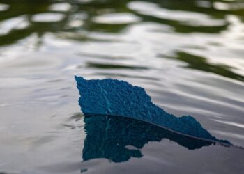 The absurdity of the Reflecting Pool prosecutions