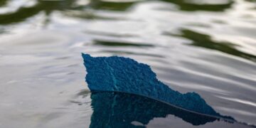 The absurdity of the Reflecting Pool prosecutions