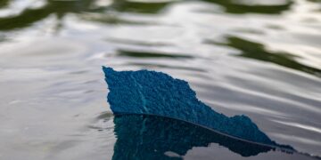 Don’t forget who brought the absurd Reflecting Pool charges