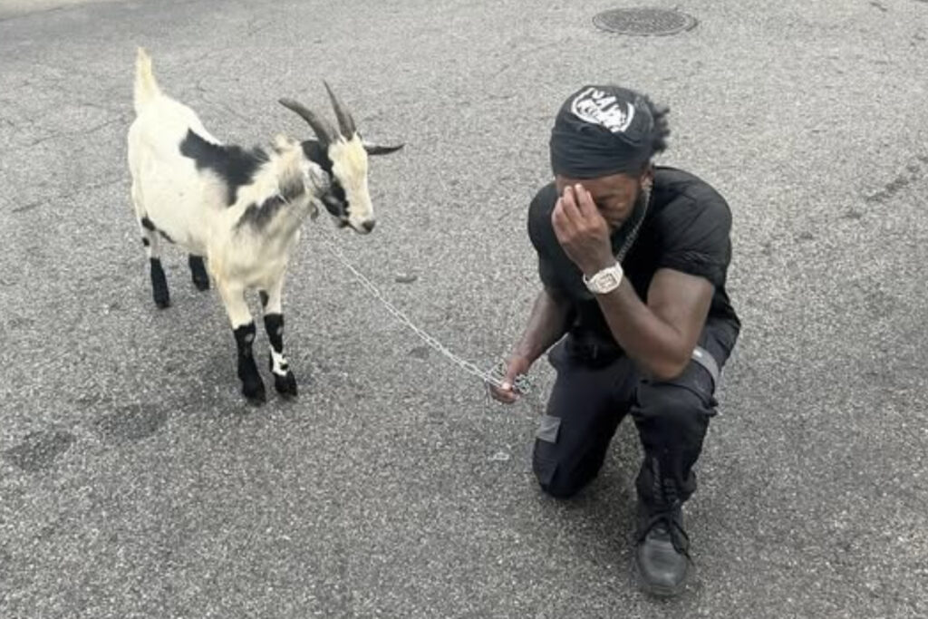After brush with the law while with his goat, D.C. man speaks out