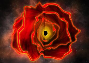 Astronomers Discover the Existence of a Black Hole Star