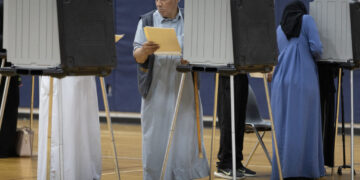 Democrats turn out big in Michigan gubernatorial primary