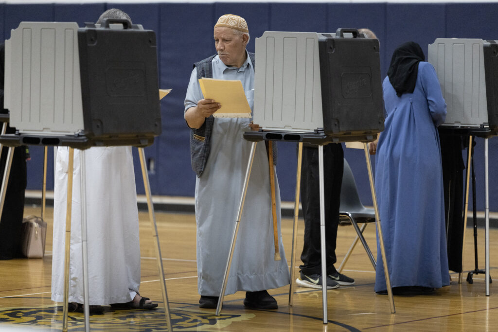 Democrats turn out big in Michigan gubernatorial primary