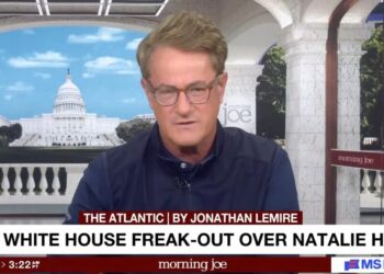 ‘Morning Joe’ Blames the White House for Natalie Harp Scandal: ‘Classic Miscalculation’