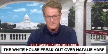‘Morning Joe’ Blames the White House for Natalie Harp Scandal: ‘Classic Miscalculation’