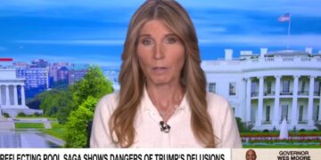 Trump’s Reflecting Pool Delusion Is ‘Frankly Stupid’ but ‘Still Very Dangerous,’ Nicolle Wallace Says