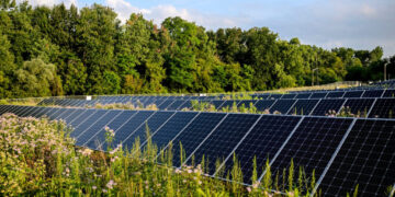 Solar power is about to get more expensive. Thank Trump.