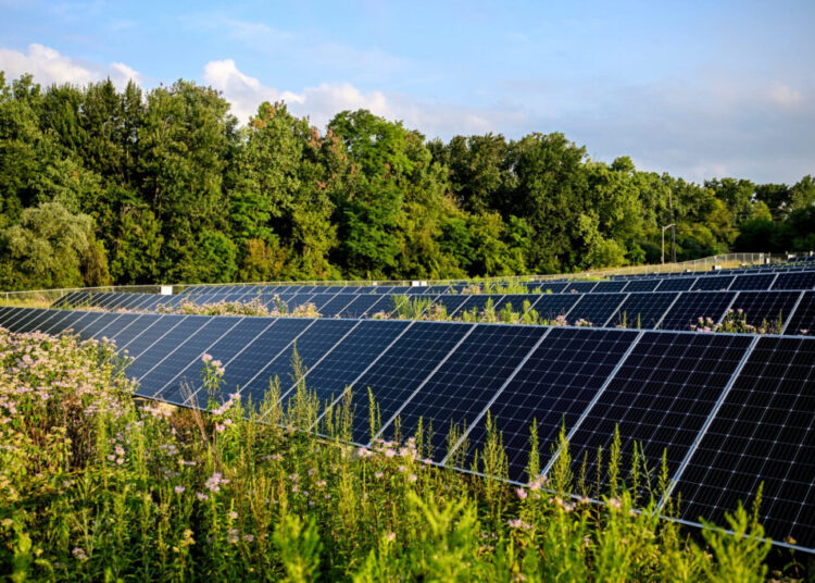 Solar power is about to get more expensive. Thank Trump.