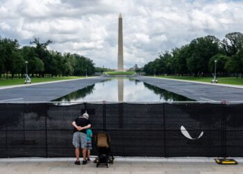 Clean up the Reflecting Pool? My father would have done it, too.