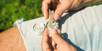 CBD vs. THC: What’s the difference between these cannabis components?