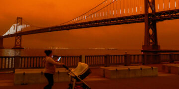 Wildfire smoke is a growing danger to unborn babies, study finds