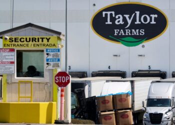 Taylor Farms lettuce may have reached 7 more states, D.C. and Puerto Rico