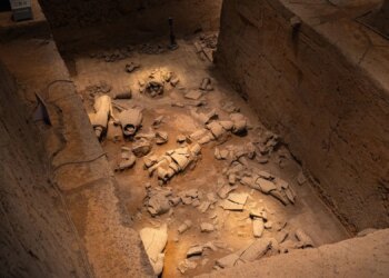 Archaeologists Found a Roman-Era Battlefield Grave Filled With Brutal Pelvic Injuries