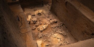 Archaeologists Found a Roman-Era Battlefield Grave Filled With Brutal Pelvic Injuries