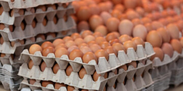 1.5 million dozen recalled eggs receive FDA’s highest-risk warning