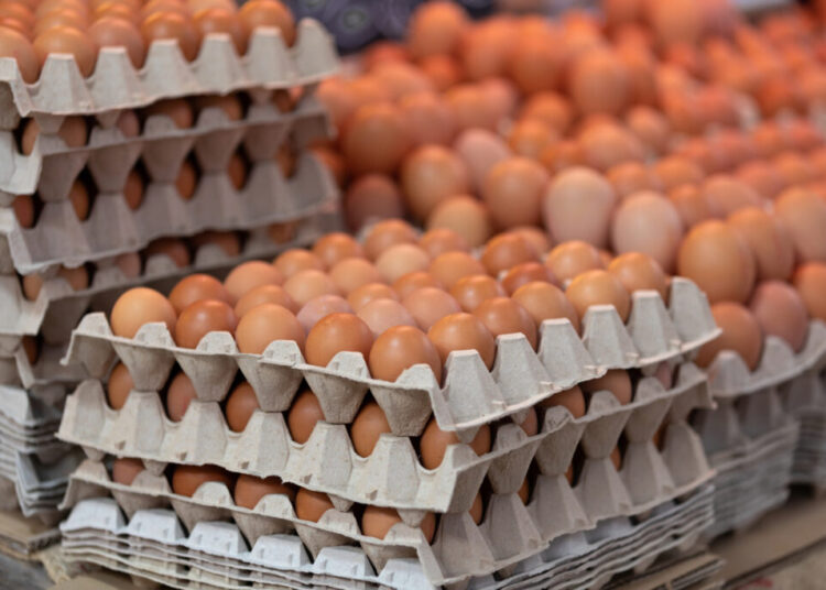 1.5 million dozen recalled eggs receive FDA’s highest-risk warning