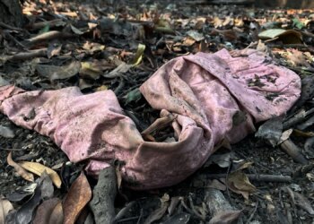 Scientists Buried 2,000 Pairs of Underwear to Test the Health of Soil. Here’s What They Learned.