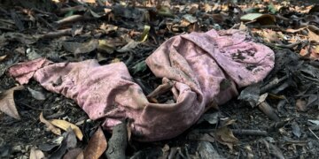 Scientists Buried 2,000 Pairs of Underwear to Test the Health of Soil. Here’s What They Learned.