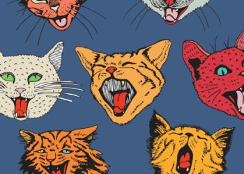 Scientists Discovered How Cats Use Urine to Identify Each Other