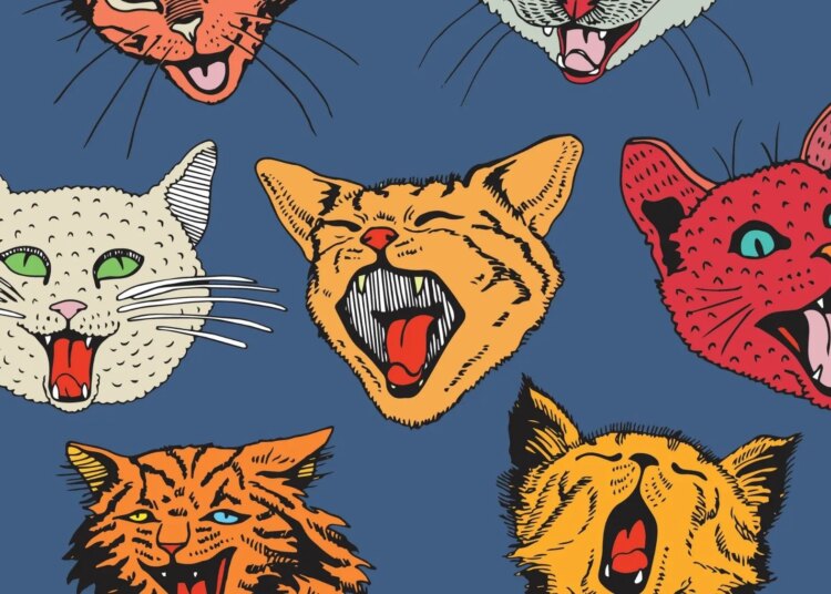 Scientists Discovered How Cats Use Urine to Identify Each Other