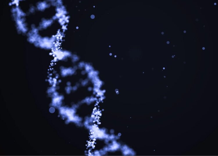 Scientists Found Evidence of Two ‘Ghost’ Human Ancestors Hiding in Our DNA