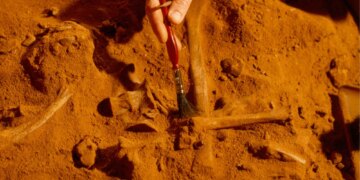 Scientists Found a Fossilized Food Chain From 100 Million Years Ago