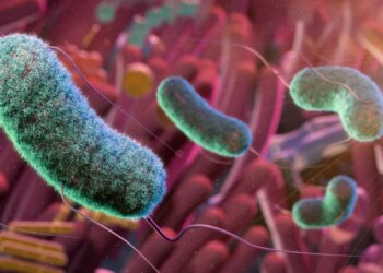 Scientists Found a Strange Link Between Gut Bacteria and Psychopathic Traits