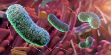 Scientists Found a Strange Link Between Gut Bacteria and Psychopathic Traits