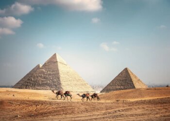 Scientists Found an Ancient Shark Graveyard in the Egyptian Desert