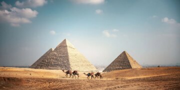 Scientists Found an Ancient Shark Graveyard in the Egyptian Desert