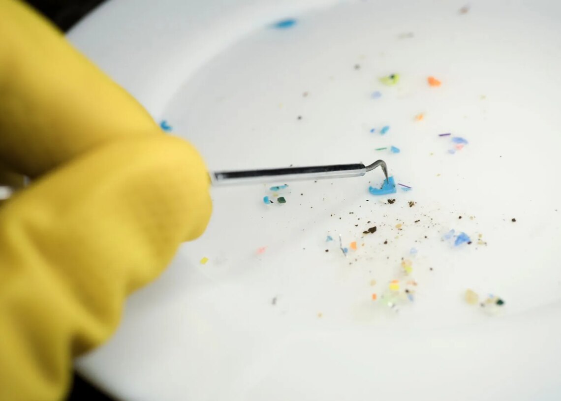 Scientists May Have Found a Way to Remove Microplastics From Soil and Water