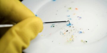 Scientists May Have Found a Way to Remove Microplastics From Soil and Water